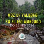 WhatsApp Image 2026-02-17 at 20.44.58