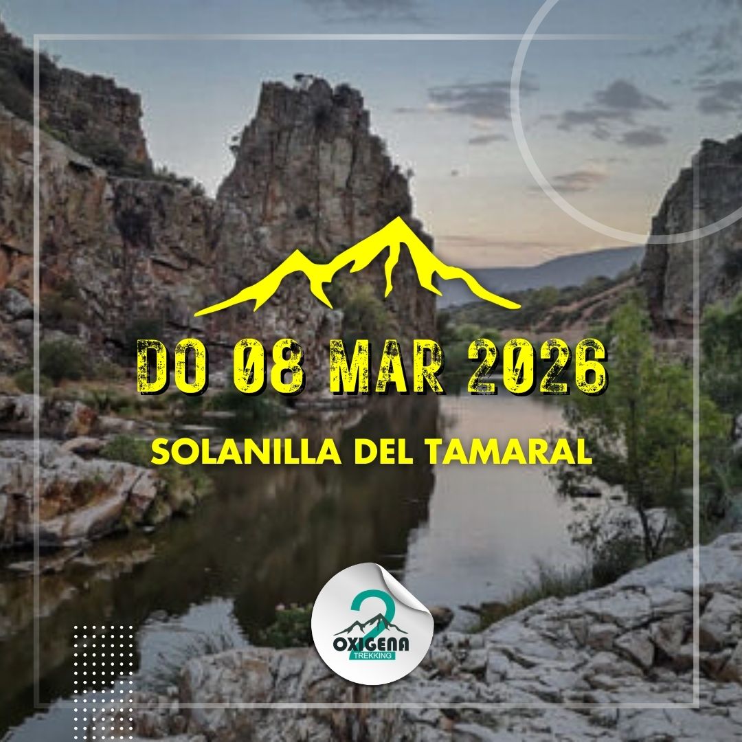 WhatsApp Image 2026-03-04 at 09.34.19