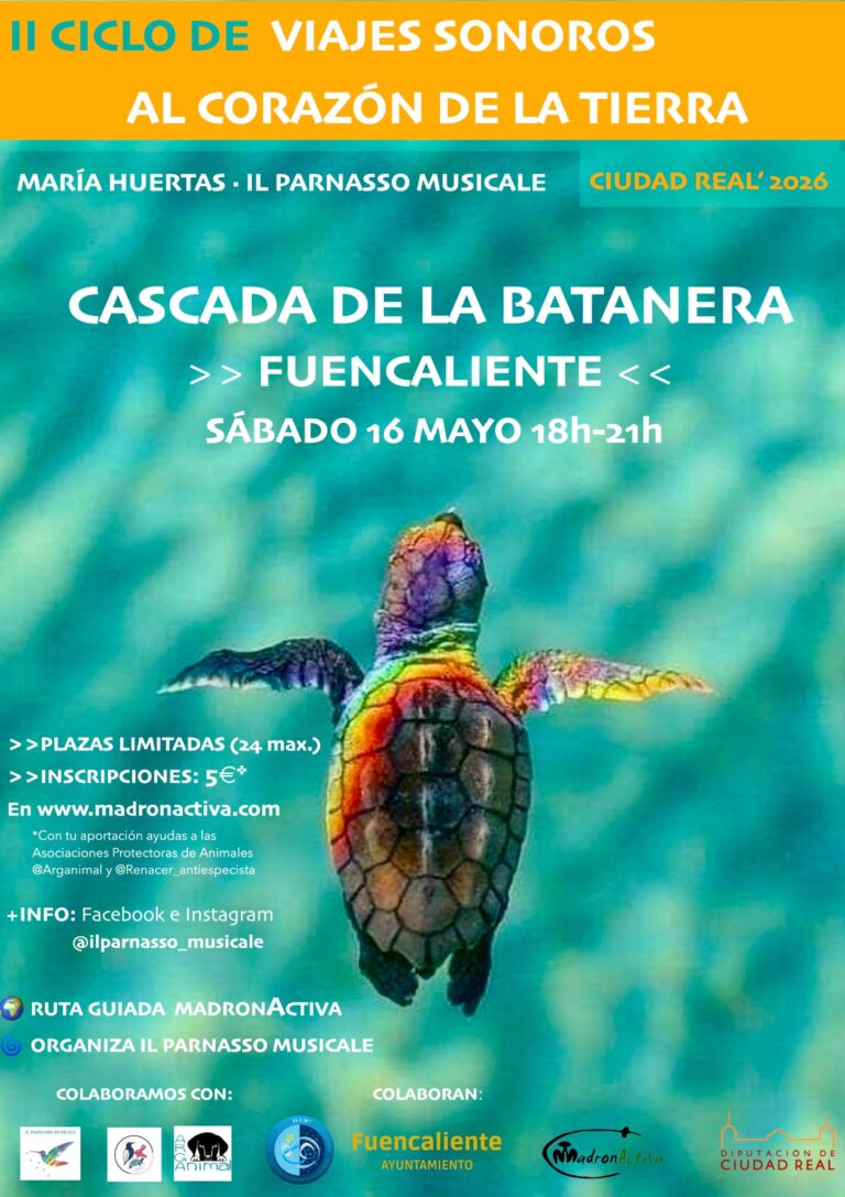 viaje sonoro